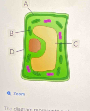 A 
Zoom 
The diagram repres