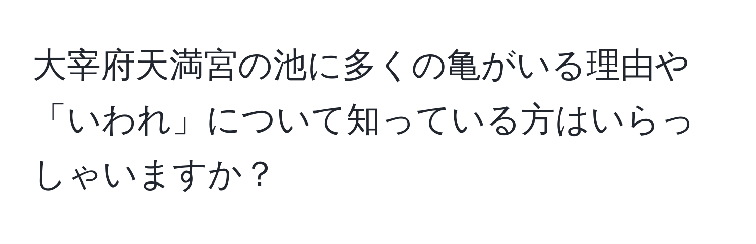 大宰府天満宮の池に多くの亀がいる理由や「いわれ」について知っている方はいらっしゃいますか？