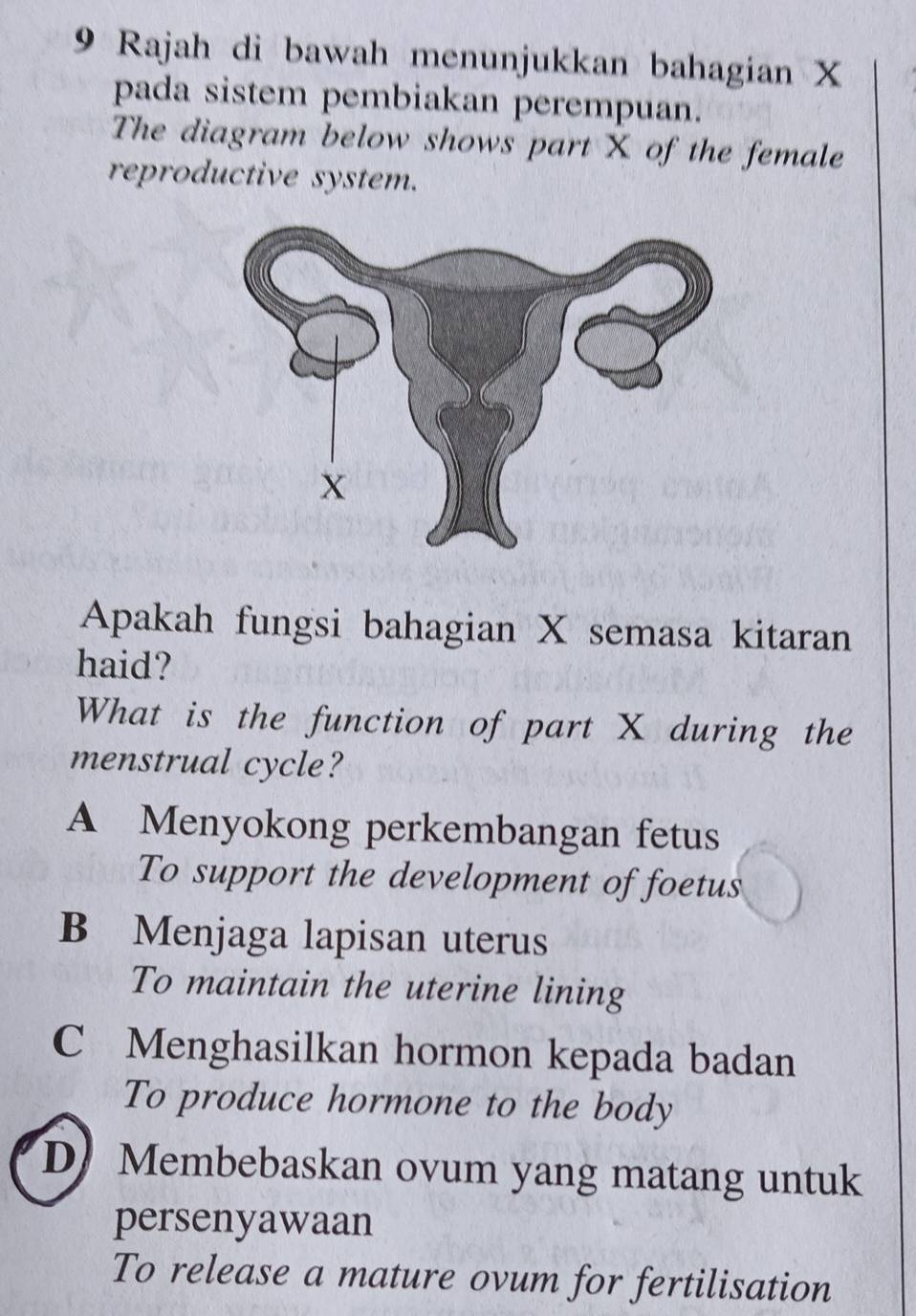 Rajah di bawah menunjukkan bahagian X
pada sistem pembiakan perempuan.
The diagram below shows part X of the female
reproductive system.
Apakah fungsi bahagian X semasa kitaran
haid?
What is the function of part X during the
menstrual cycle?
A Menyokong perkembangan fetus
To support the development of foetus
B Menjaga lapisan uterus
To maintain the uterine lining
C Menghasilkan hormon kepada badan
To produce hormone to the body
D) Membebaskan ovum yang matang untuk
persenyawaan
To release a mature ovum for fertilisation