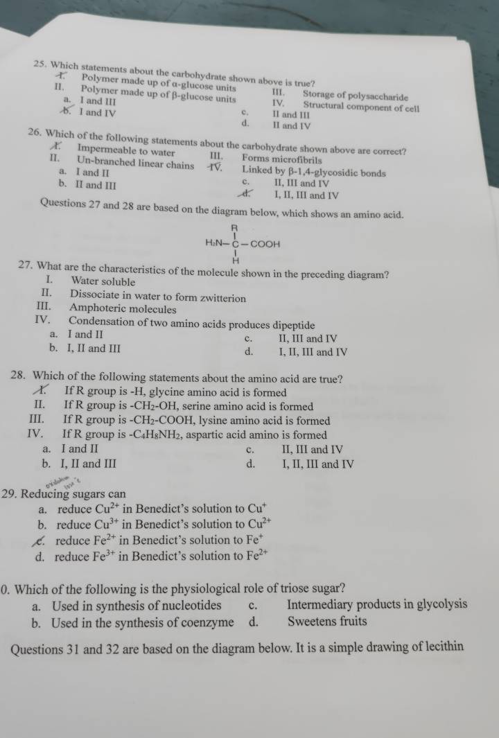 Which statements about the carbohydrate shown above is true?
T. Polymer made up of α-glucose units III. Storage of polysaccharide
II. Polymer made up of β-glucose units IV. Structural component of cell
a. I and III II and III
b. I and IV c. II and IV
d.
26. Which of the following statements about the carbohydrate shown above are correct?
X. Impermeable to water III. Forms microfíbrils
II. Un-branched linear chains 1V. Linked by β-1,4-glycosidic bonds
a. I and II II, III and IV
c.
b. II and III d. I, II, III and IV
Questions 27 and 28 are based on the diagram below, which shows an amino acid.
H_aN-frac _H-COOH
27. What are the characteristics of the molecule shown in the preceding diagram?
I. Water soluble
II. Dissociate in water to form zwitterion
III. Amphoteric molecules
IV. Condensation of two amino acids produces dipeptide
a. I and II II, III and IV
c.
b. I, II and III d. I, II, III and IV
28. Which of the following statements about the amino acid are true?
. If R group is -H, glycine amino acid is formed
II. If R group is -CH_2-OH , serine amino acid is formed
III. If R group is - -CH_2-COOH , lysine amino acid is formed
IV. If R group is - -C_4H_8NH_2, 2, aspartic acid amino is formed
a. I and II c. II, III and IV
b. I, II and III d. I, II, III and IV
29. Reducing sugars can
a. reduce Cu^(2+) in Benedict’s solution to Cu^+
b. reduce Cu^(3+) in Benedict’s solution to Cu^(2+)
c. reduce Fe^(2+) in Benedict’s solution to Fe^+
d. reduce Fe^(3+) in Benedict’s solution to Fe^(2+)
0. Which of the following is the physiological role of triose sugar?
a. Used in synthesis of nucleotides c. Intermediary products in glycolysis
b. Used in the synthesis of coenzyme d. Sweetens fruits
Questions 31 and 32 are based on the diagram below. It is a simple drawing of lecithin