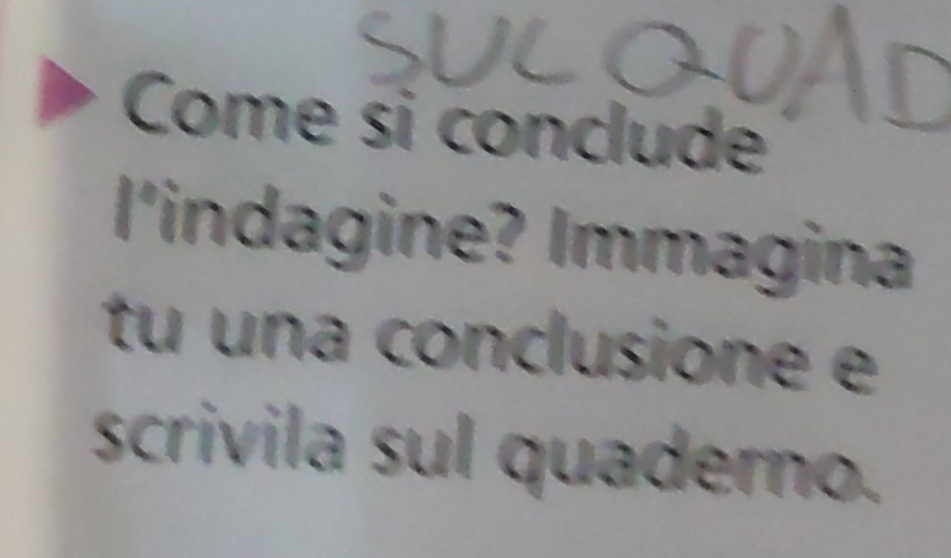 Come si conclude 
l'indagine? Immagina 
tu una conclusione e 
scrivila sul quaderno.