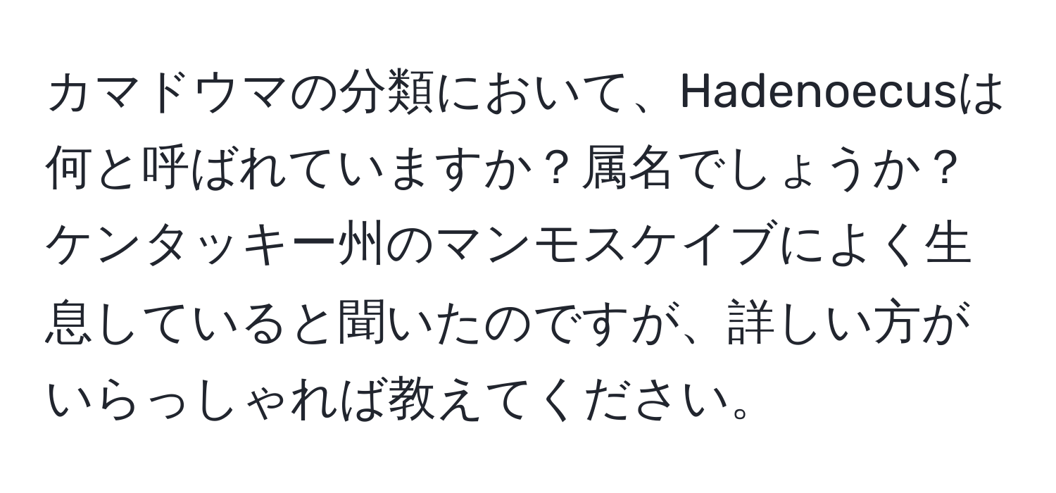 カマドウマの分類において、Hadenoecusは何と呼ばれていますか？属名でしょうか？ケンタッキー州のマンモスケイブによく生息していると聞いたのですが、詳しい方がいらっしゃれば教えてください。