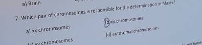 a) Brain
7. Which pair of chromosomes is responsible for the determination in Males?
a) xx chromosomes (b) xy chromosomes
(d) autosomal chromosomes
(r) vy chromosomes