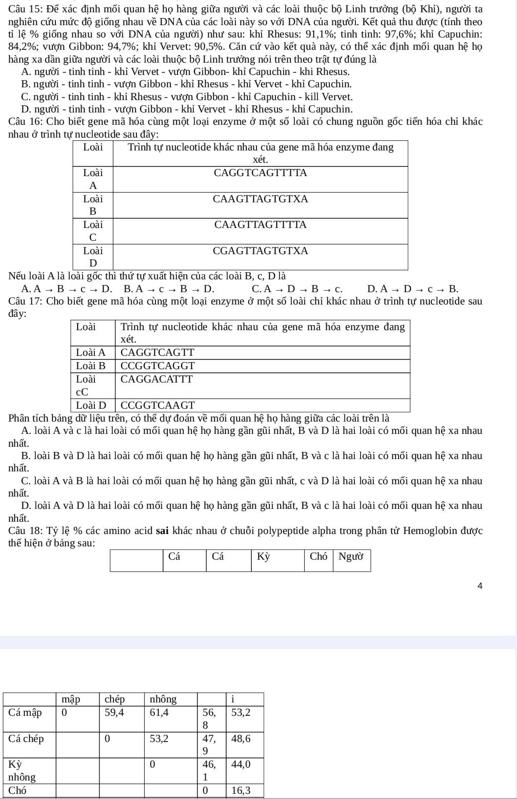 Để xác định mối quan hệ họ hàng giữa người và các loài thuộc bộ Linh trưởng (bộ Khi), người ta
nghiên cứu mức độ giống nhau về DNA của các loài này so với DNA của người. Kết quả thu được (tính theo
ti lệ % giống nhau so với DNA của người) như sau: khỉ Rhesus: 91,1%; tinh tinh: 97,6%; khỉ Capuchin:
84,2%; vượn Gibbon: 94,7%; khi Vervet: 90,5%. Căn cứ vào kết quà này, có thể xác định mối quan hệ họ
hàng xa dần giữa người và các loài thuộc bộ Linh trưởng nói trên theo trật tự đúng là
A. người - tinh tinh - khỉ Vervet - vượn Gibbon- khỉ Capuchin - khi Rhesus.
B. người - tinh tinh - vượn Gibbon - khỉ Rhesus - khỉ Vervet - khỉ Capuchin.
C. người - tinh tinh - khi Rhesus - vượn Gibbon - khi Capuchin - kill Vervet.
D. người - tinh tinh - vượn Gibbon - khỉ Vervet - khỉ Rhesus - khỉ Capuchin.
Câu 16: Cho biết gene mã hóa cùng một loại enzyme ở một số loài có chung nguồn gốc tiến hóa chỉ khác
nhau ở tr
Nếu loài
A. Ato Bto Cto D.B.Ato Cto Bto D. C. Ato Dto Bto c. D. Ato Dto cto B.
Câu 17: Cho biết gene mã hóa cùng một loại enzyme ở một số loài chỉ khác nhau ở trình tự nucleotide sau
đây:
Phân tích bảng dữ liệu trên, có thể dự đoán về mối quan hệ họ hàng giữa các loài trên là
A. loài A và c là hai loài có mối quan hệ họ hàng gần gũi nhất, B và D là hai loài có mối quan hệ xa nhau
nhất.
B. loài B và D là hai loài có mối quan hệ họ hàng gần gũi nhất, B và c là hai loài có mối quan hệ xa nhau
nhất.
C. loài A và B là hai loài có mối quan hệ họ hàng gần gũi nhất, c và D là hai loài có mối quan hệ xa nhau
nhất.
D. loài A và D là hai loài có mối quan hệ họ hàng gần gũi nhất, B và c là hai loài có mối quan hệ xa nhau
nhất.
Câu 18: Tỷ lệ % các amino acid sai khác nhau ở chuỗi polypeptide alpha trong phân tử Hemoglobin được
thế hiện ở bảng s
4