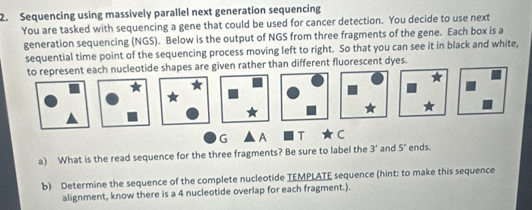 Sequencing using massively parallel next generation sequencing 
You are tasked with sequencing a gene that could be used for cancer detection. You decide to use next 
generation sequencing (NGS). Below is the output of NGS from three fragments of the gene. Each box is a 
sequential time point of the sequencing process moving left to right. So that you can see it in black and white, 
re given rather than different fluorescent dyes. 
a) What is the read sequence for the three fragments? Be sure to label the 3' and 5' ends. 
b) Determine the sequence of the complete nucleotide TEMPLATE sequence (hint: to make this sequence 
alignment, know there is a 4 nucleotide overlap for each fragment.).