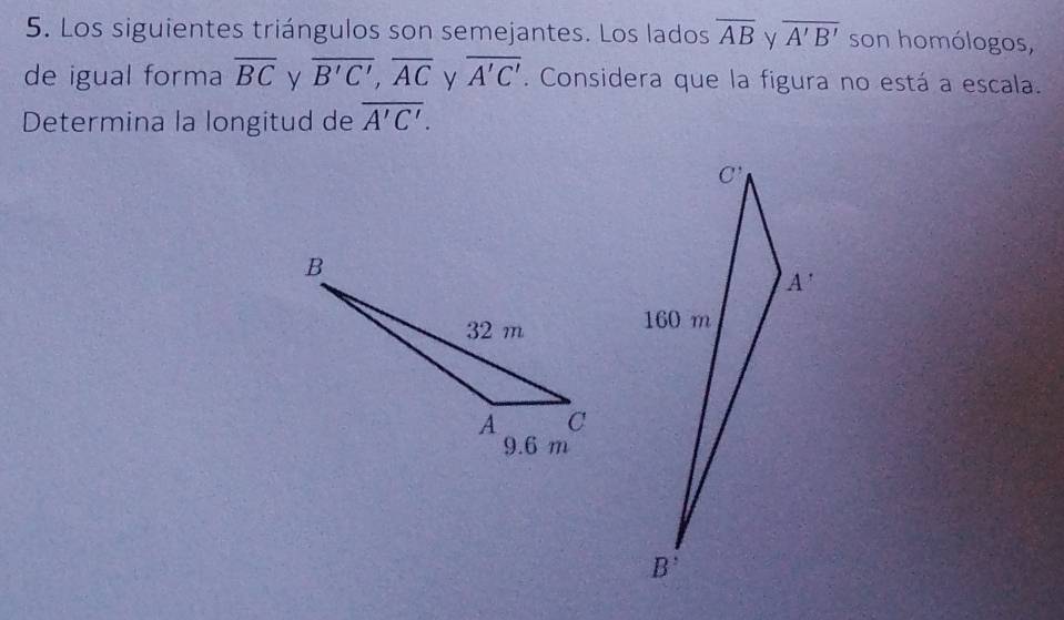 Los siguientes triángulos son semejantes. Los lados overline AB V overline A'B' son homólogos,
de igual forma overline BC y overline B'C',overline AC y overline A'C'. Considera que la figura no está a escala.
Determina la longitud de overline A'C'.