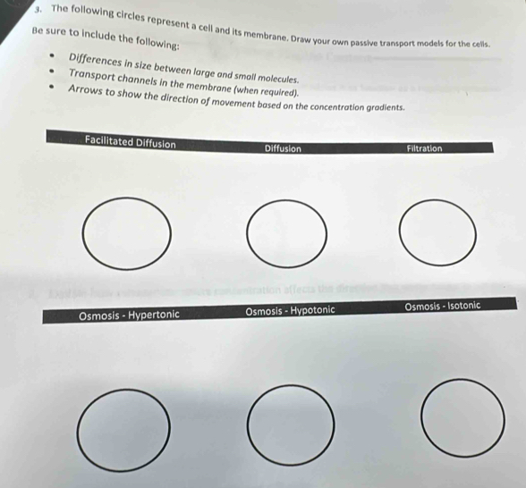 The following circles represent a ceil and its membrane. Draw your own passive transport models for the cells.
Be sure to include the following:
Differences in size between large and small molecules.
Transport channels in the membrane (when required).
Arrows to show the direction of movement based on the concentration gradients.
Facilitated Diffusion Diffusion Filtration
Osmosis - Hypertonic Osmosis - Hypotonic Osmosis - Isotonic