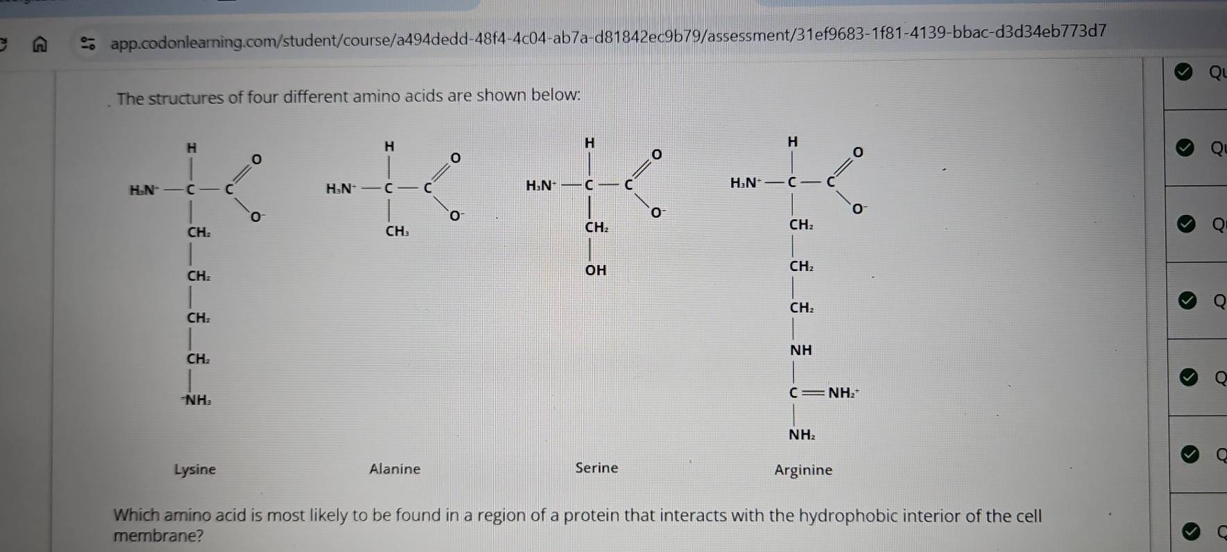 The structures of four different amino acids are shown below:
H
H
0
0
Q
H₃N· C
H_3N^+
0
CH₂   CH₂
Q
CH₂
CH_2
CH_2
CH_2
CH₂
NH
C=NH_2
NH₃
NH₂
Lysine Alanine Serine Arginine
Which amino acid is most likely to be found in a region of a protein that interacts with the hydrophobic interior of the cell
membrane?