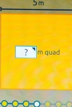 5 m
? m quad