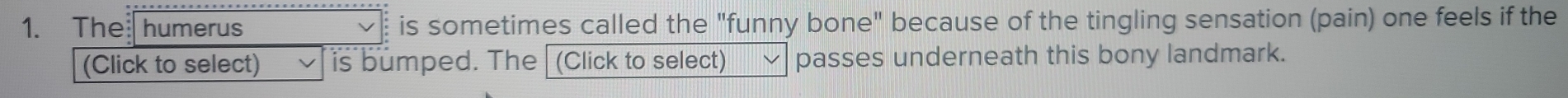 The humerus is sometimes called the "funny bone" because of the tingling sensation (pain) one feels if the 
(Click to select) is bumped. The (Click to select) passes underneath this bony landmark.