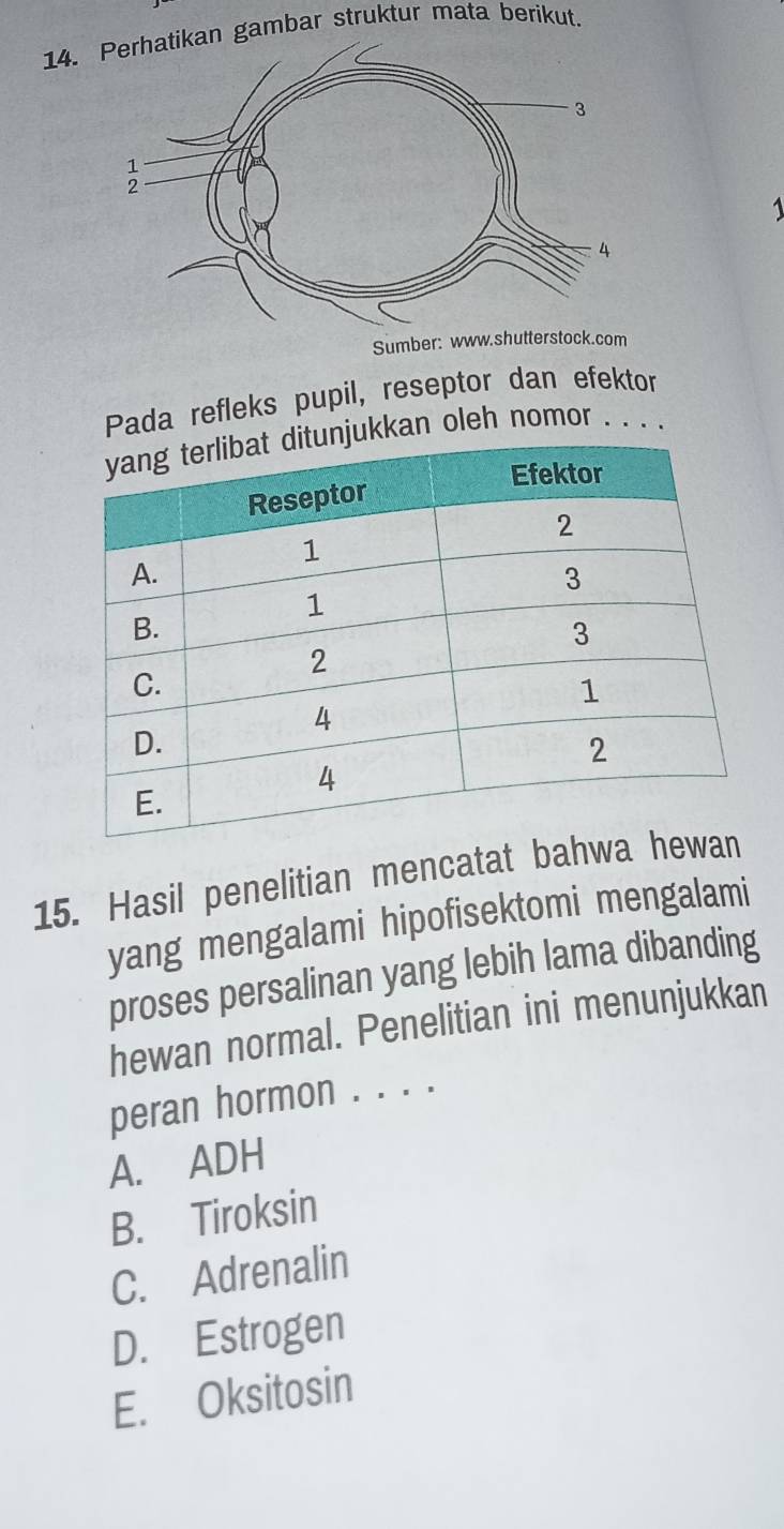 gambar struktur mata berikut.
1
Sumber: www.shutterstock.com
Pada refleks pupil, reseptor dan efektor
kan oleh nomor . . . .
15. Hasil penelitian mencatat bah
yang mengalami hipofisektomi mengalami
proses persalinan yang lebih lama dibanding
hewan normal. Penelitian ini menunjukkan
peran hormon . . . .
A. ADH
B. Tiroksin
C. Adrenalin
D. Estrogen
E. Oksitosin