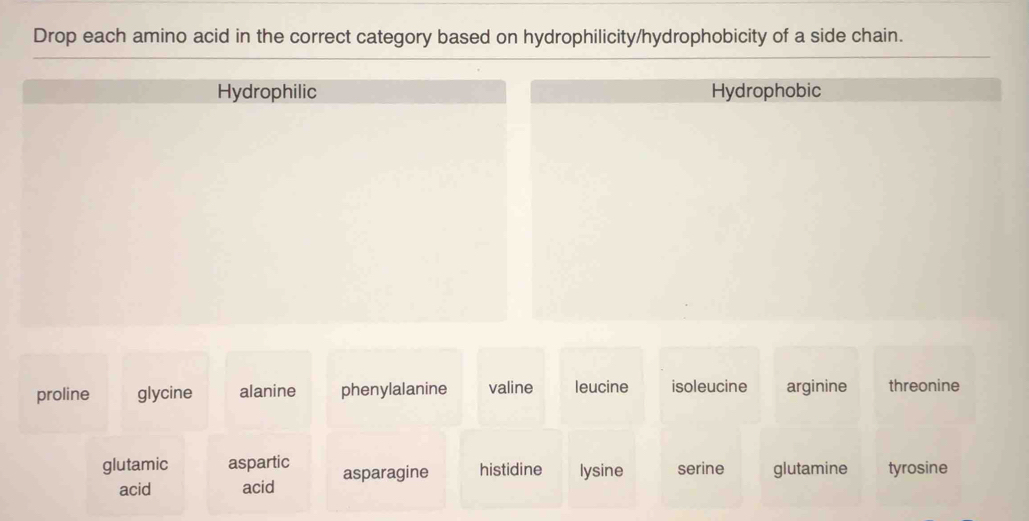 Drop each amino acid in the correct category based on hydrophilicity/hydrophobicity of a side chain.
Hydrophilic Hydrophobic
proline glycine alanine phenylalanine valine leucine isoleucine arginine threonine
glutamic aspartic asparagine histidine lysine serine glutamine tyrosine
acid acid