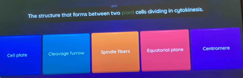 The structure that forms between two plant cells dividing in cytokinesis.
Cell plate Cleavage furrow Spindle fibers Equatorial plane Centromere