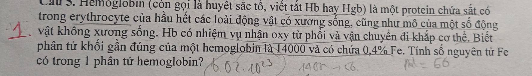 Cau S. Hemoglobın (còn gọi là huyết sắc tổ, viết tắt Hb hay Hgb) là một protein chứa sắt có 
trong erythrocyte của hầu hết các loài động vật có xương sống, cũng như mô của một số động 
_ 
vật không xương sống. Hb có nhiệm vụ nhận oxy từ phổi và vận chuyển đi khắp cơ thể. Biết 
phân tử khối gần đúng của một hemoglobin là 14000 và có chứa 0,4% Fe. Tính số nguyên tử Fe 
có trong 1 phân tử hemoglobin?