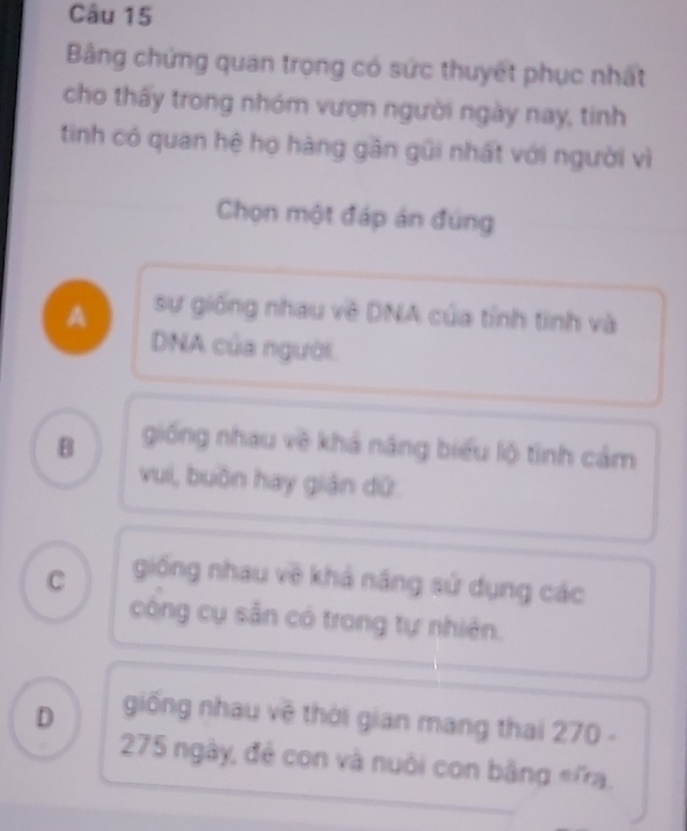 Bảng chứng quan trong có sức thuyết phục nhất
cho thấy trong nhóm vượn người ngày nay, tinh
tinh có quan hệ họ hàng gần gũi nhất với người vì
Chọn một đáp án đúng
A sự giống nhau về DNA của tính tinh và
DNA của người.
B giống nhau về khả năng biểu lộ tinh cảm
vui, buồn hay giản dứ.
C
giống nhau về khả năng sử dụng các
công cụ sẵn có trong tự nhiên.
D
giống nhau về thời gian mang thai 270 -
275 ngày, đẻ con và nuôi con bằng «'ra.