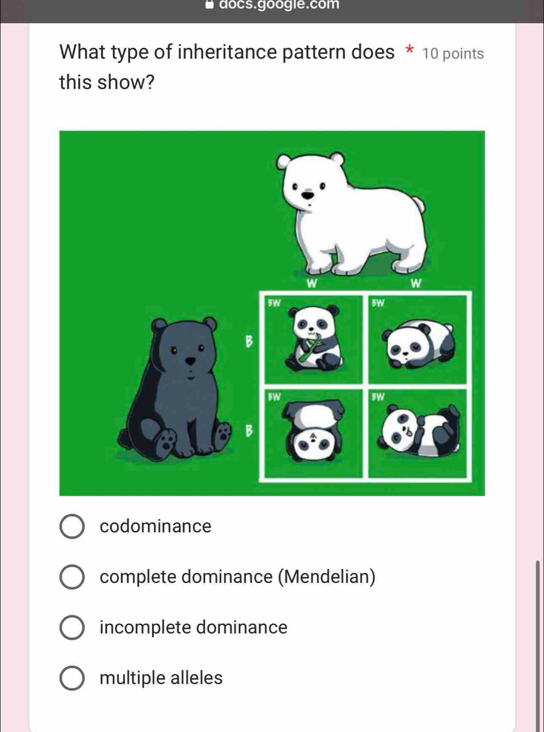 docs.google.com
What type of inheritance pattern does * 10 points
this show?
codominance
complete dominance (Mendelian)
incomplete dominance
multiple alleles