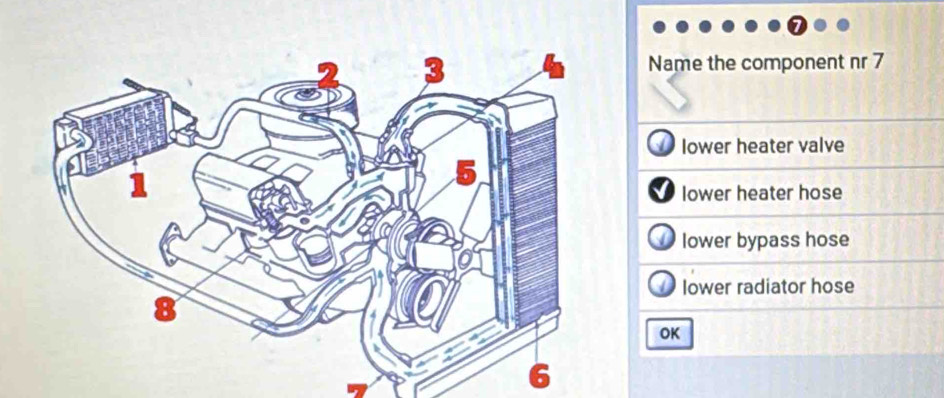 Name the component nr 7
lower heater valve
lower heater hose
lower bypass hose
lower radiator hose
OK