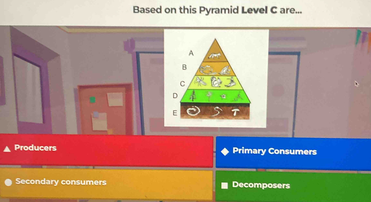 Based on this Pyramid Level C are...
Producers Primary Consumers
Secondary consumers Decomposers