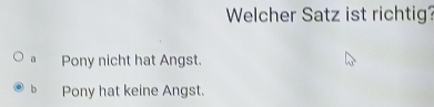 Welcher Satz ist richtig?
a Pony nicht hat Angst.
b Pony hat keine Angst.