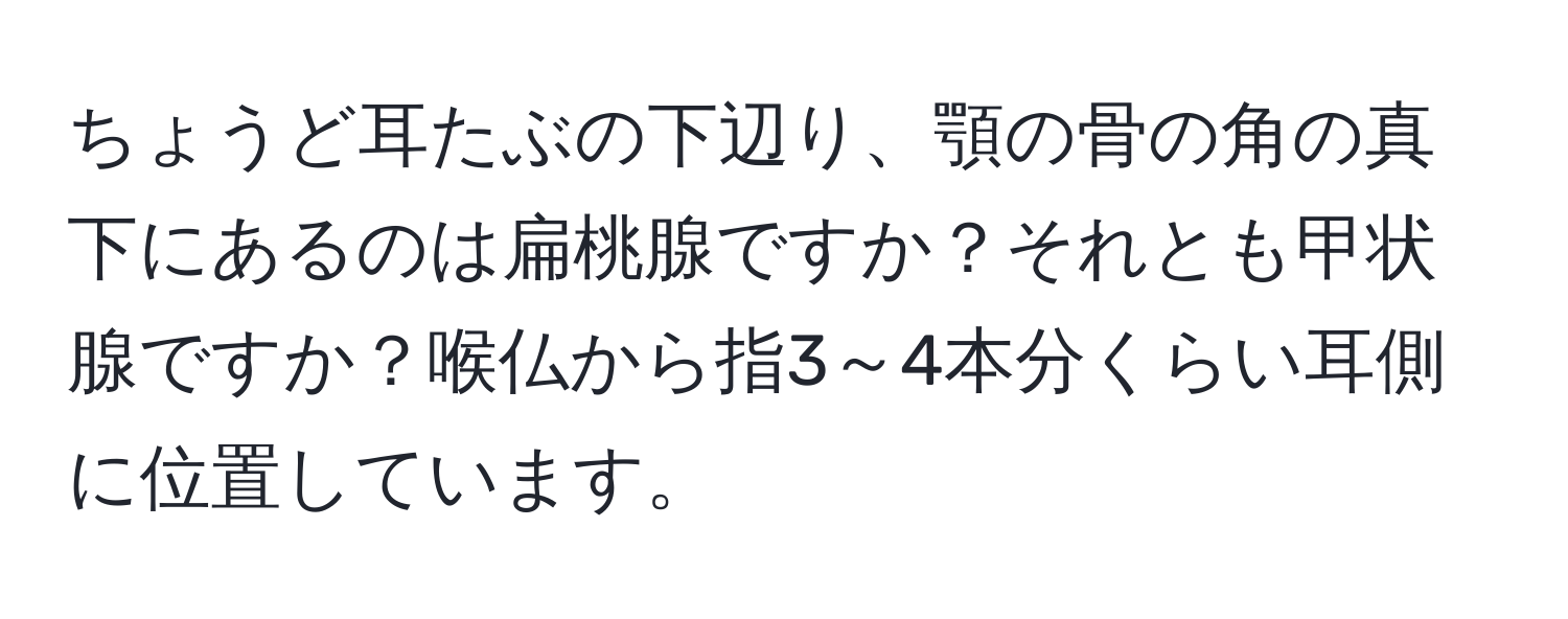 ちょうど耳たぶの下辺り、顎の骨の角の真下にあるのは扁桃腺ですか？それとも甲状腺ですか？喉仏から指3～4本分くらい耳側に位置しています。