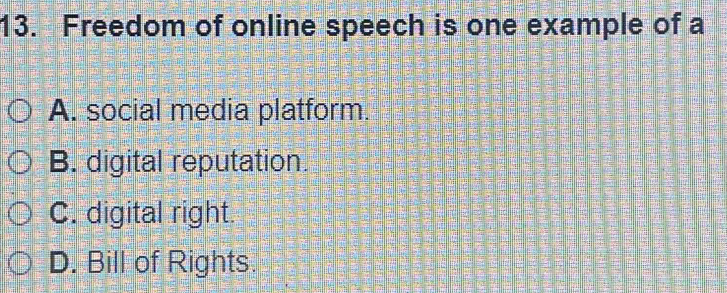 Freedom of online speech is one example of a
A. social media platform.
B. digital reputation
C. digital right.
D. Bill of Rights.