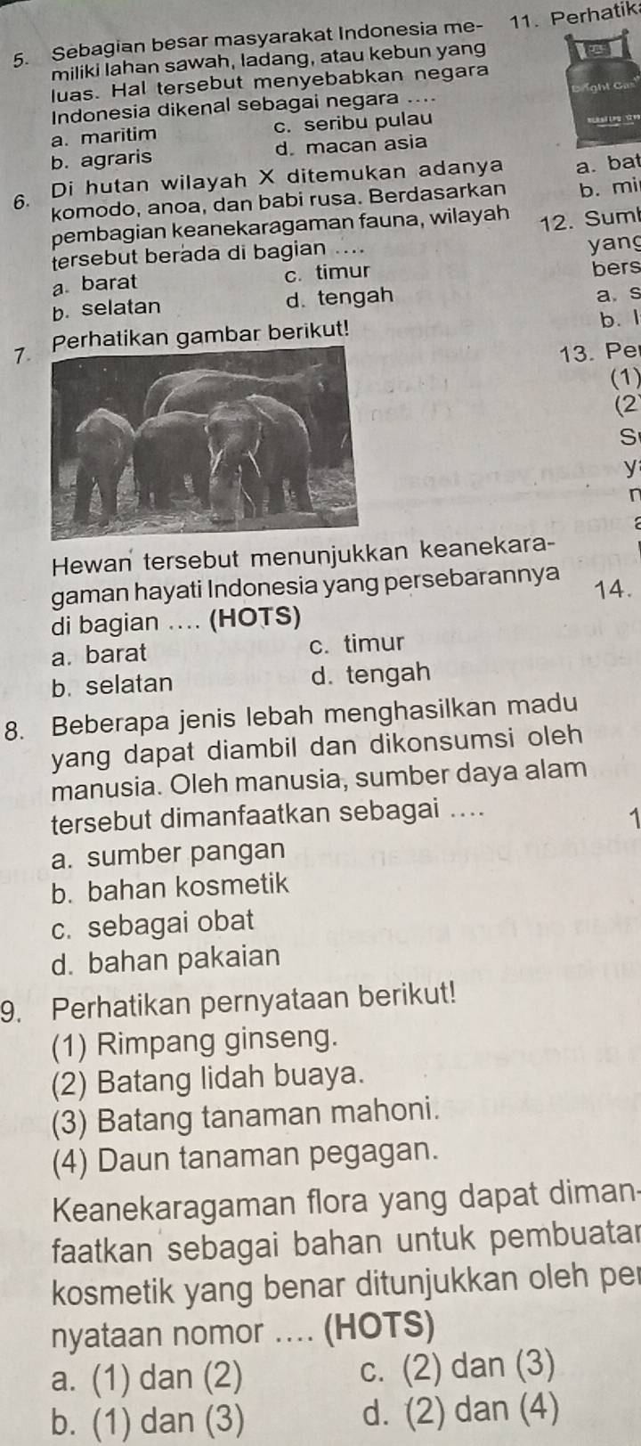 Sebagian besar masyarakat Indonesia me- 11. Perhatik
miliki Iahan sawah, ladang, atau kebun yang
luas. Hal tersebut menyebabkan negara
Indonesia dikenal sebagai negara ....
a. maritim c. seribu pulau
b. agraris d. macan asia
6. Di hutan wilayah X ditemukan adanya a. bat
komodo, anoa, dan babi rusa. Berdasarkan b. mi
pembagian keanekaragaman fauna, wilayah 12. Sum
tersebut berada di bagian ...
yang
a. barat c. timur bers
b. selatan d. tengah a s
7rhatikan gambar berikut! b. I
13. Pe
(1)
(2
S
y
r
Hewan tersebut menunjukkan keanekara-
gaman hayati Indonesia yang persebarannya 14.
di bagian .... (HOTS)
a. barat c. timur
b. selatan d. tengah
8. Beberapa jenis lebah menghasilkan madu
yang dapat diambil dan dikonsumsi oleh 
manusia. Oleh manusia, sumber daya alam
tersebut dimanfaatkan sebagai ...
1
a. sumber pangan
b. bahan kosmetik
c. sebagai obat
d. bahan pakaian
9. Perhatikan pernyataan berikut!
(1) Rimpang ginseng.
(2) Batang lidah buaya.
(3) Batang tanaman mahoni.
(4) Daun tanaman pegagan.
Keanekaragaman flora yang dapat diman
faatkan sebagai bahan untuk pembuatar
kosmetik yang benar ditunjukkan oleh per
nyataan nomor .... (HOTS)
a. (1) dan (2) c. (2) dan (3)
b. (1) dan (3) d. (2) dan (4)