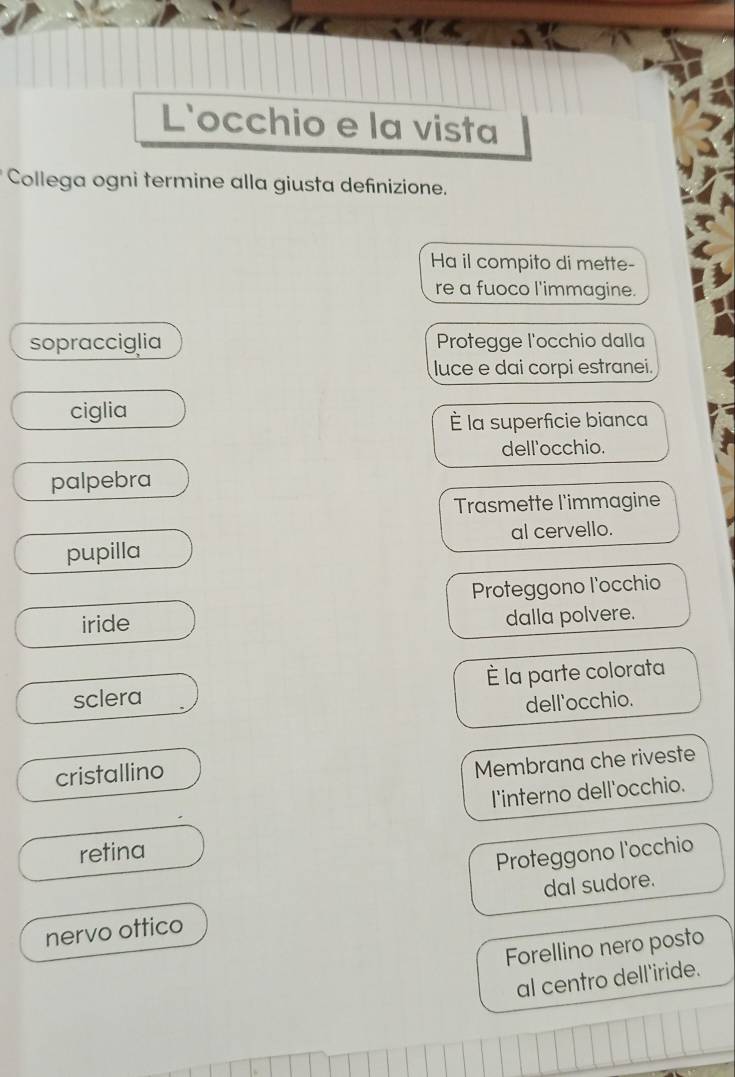 L'occhio e la vista 
Collega ogni termine alla giusta definizione. 
Ha il compito di mette- 
re a fuoco l'immagine. 
sopracciglia Protegge l'occhio dalla 
luce e dai corpi estranei. 
ciglia 
È la superficie bianca 
dell'occhio. 
palpebra 
Trasmette l'immagine 
pupilla al cervello. 
Proteggono l'occhio 
iride 
dalla polvere. 
sclera É la parte colorata 
dell'occhio. 
cristallino 
Membrana che riveste 
I'interno dell'occhio. 
retina 
Proteggono l'occhio 
nervo ottico dal sudore. 
Forellino nero posto 
al centro dell'iride.