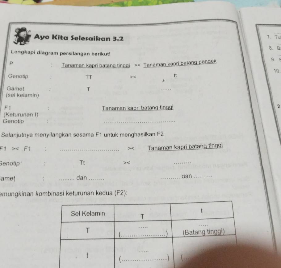 Ayo Kita Selesaikan 3.2 7. Tu 
8. B 
Lengkapi diagram persilangan berikut! 
9. 
P 
Tanaman kapri batang tinggi >< Tanaman kapri batang pendek 
10. 
Genotip : TT 
< 
tt 
Gamet T 
(sel kelamin)
F1 Tanaman kapri batang tinggi 
2 
(Keturunan I) 
Genotip 
_ 
Selanjutnya menyilangkan sesama F1 untuk menghasilkan F2
F1> :_ 
Tanaman kapri batang tinggi 
Genotip : Tt 
_ 
amet : _dan __dan_ 
emungkinan kombinasi keturunan kedua (F2):