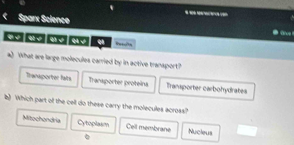 apó sparsacienco.com
Sparx Scienco Glve I
qi 02 √ Q3 √ Ca √ Results
a) What are large molecules carried by in active transport?
Transporter fats Transporter proteins Transporter carbohydrates
) Which part of the cell do these carry the molecules across?
Mitochondria Cytoplasm Cell membrane Nucleus