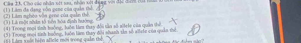 Cho các nhận xét sau, nhận xét đúng với đặc điểm của nhân tổ tic 
(1) Làm đa dạng yốn gene của quần thể. 
(2) Làm nghèo vốn gene của quần thể. 
(3) Là một nhân tố tiến hóa định hướng. 
(4) Trong mọi tình huống, luôn làm thay đổi tần số allele của quần thể. 
(5) Trong mọi tính huống, luôn làm thay đổi nhanh tần số allele của quần thể. 
(6) Làm xuất hiện allele mới trong quần thể. 
đhững đặc điểm nào?