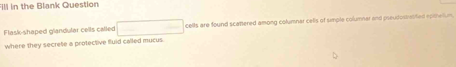 Fill in the Blank Question 
Flask-shaped glandular cells called cells are found scattered among columnar cells of simple columnar and pseudostratified epithellum, 
where they secrete a protective fluid called mucus.