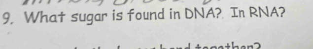 9, What sugar is found in DNA? In RNA?