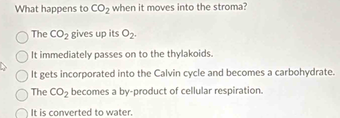 What happens to CO_2 when it moves into the stroma?
The CO_2 gives up its O_2.
It immediately passes on to the thylakoids.
It gets incorporated into the Calvin cycle and becomes a carbohydrate.
The CO_2 becomes a by-product of cellular respiration.
It is converted to water.