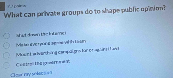 What can private groups do to shape public opinion?
Shut down the internet
Make everyone agree with them
Mount advertising campaigns for or against laws
Control the government
Clear my selection