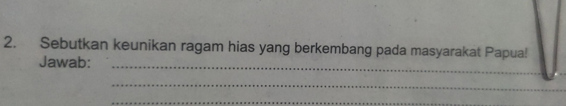 Sebutkan keunikan ragam hias yang berkembang pada masyarakat Papua! 
Jawab:_ 
_ 
_