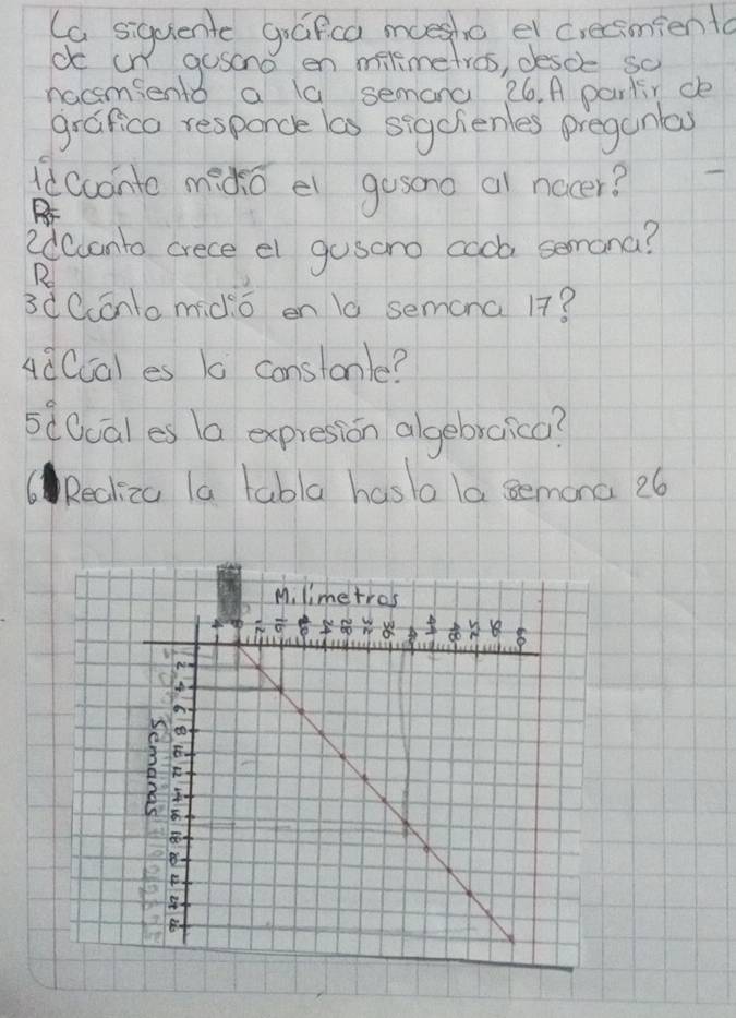 Ca siquente grafca moesho e crecimienta 
ptmengsand on seies, denobo o 
grafica responce as sigcienles pregcnlay 
dcconte mido el gosono ai nocer? 
2dcconto crece el gusoro coo semana? 
Ro 
3dCconlo mido en la semona 17? 
AdCcal es 10 constanle? 
s8Ocales 1a expresion algebraico? 
Recliza la tabla hasla la semona 26