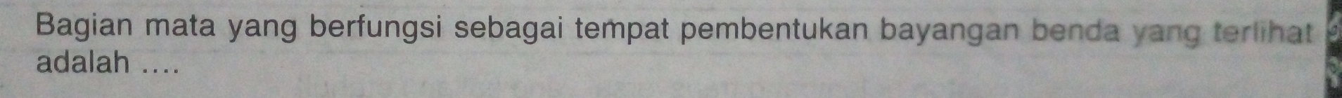 Bagian mata yang berfungsi sebagai tempat pembentukan bayangan benda yang terlihat 
adalah ....