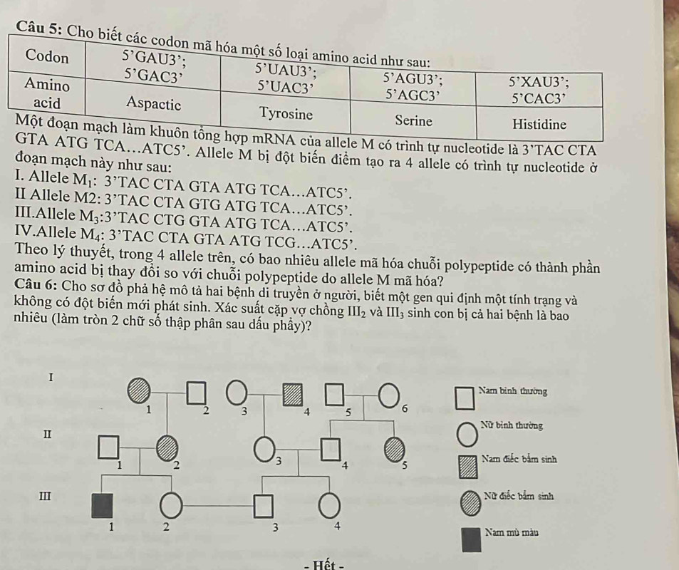 Cho b
trình tự nucleotide là 3' TAC CTA
A.ATC5'. Allele M bị đột biển điểm tạo ra 4 allele có trình tự nucleotide ở
đoạn mạch này như sau:
I. Allele M_1: 3'' TAC CTA GTA ATG TCA…ATC5’.
II Allele M2: 3' TAC CTA GTG ATG TCA…ATC5’.
III.Allele M_3:3^, TAC CTG GTA ATG TCA…ATC5’.
IV.Allele M_4 3' TAC CTA GTA ATG TCG…ATC5’.
Theo lý thuyết, trong 4 allele trên, có bao nhiêu allele mã hóa chuỗi polypeptide có thành phần
amino acid bị thay đổi so với chuỗi polypeptide do allele M mã hóa?
Câu 6: Cho sơ đồ phả hệ mô tả hai bệnh di truyền ở người, biết một gen qui định một tính trạng và
không có đột biến mới phát sinh. Xác suất cặp vợ chồng III_2 và III_3 sinh con bị cả hai bệnh là bao
nhiêu (làm tròn 2 chữ số thập phân sau dấu phầy)?
I
Nam bình thường
Nữ bình thường
Ⅱ
Nam điếc bắm sinh
IIINữ điếc bắm sinh
Nam mù màu
- Hết -