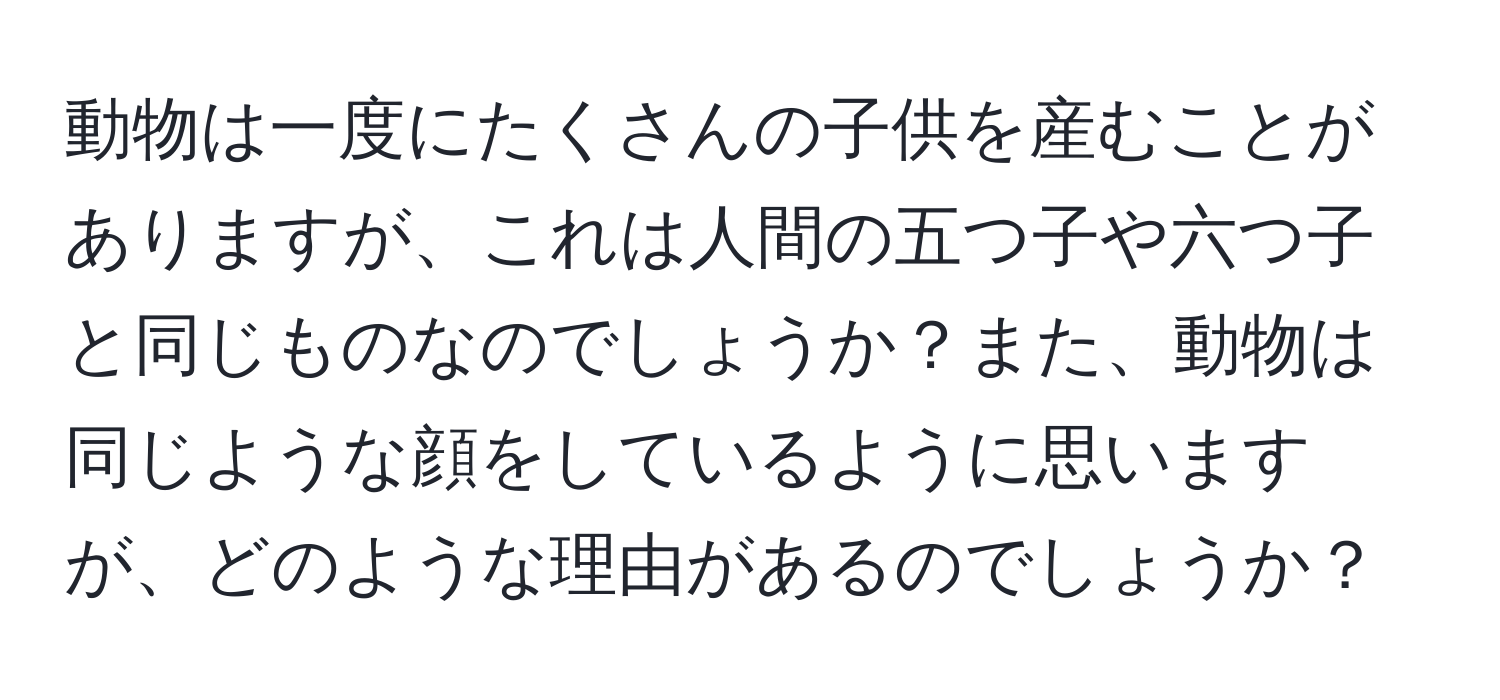 動物は一度にたくさんの子供を産むことがありますが、これは人間の五つ子や六つ子と同じものなのでしょうか？また、動物は同じような顔をしているように思いますが、どのような理由があるのでしょうか？