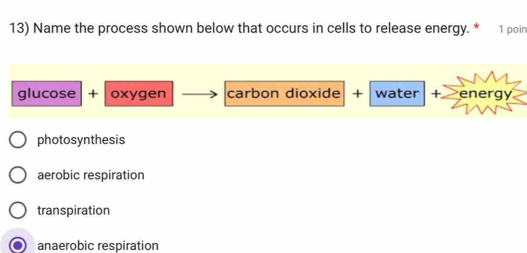 Name the process shown below that occurs in cells to release energy. * 1 poin
glucose |+ oxygen carbon dioxide + water +_ energy
photosynthesis
aerobic respiration
transpiration
anaerobic respiration