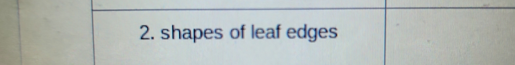 shapes of leaf edges