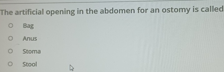 The artificial opening in the abdomen for an ostomy is called
Bag
Anus
Stoma
Stool