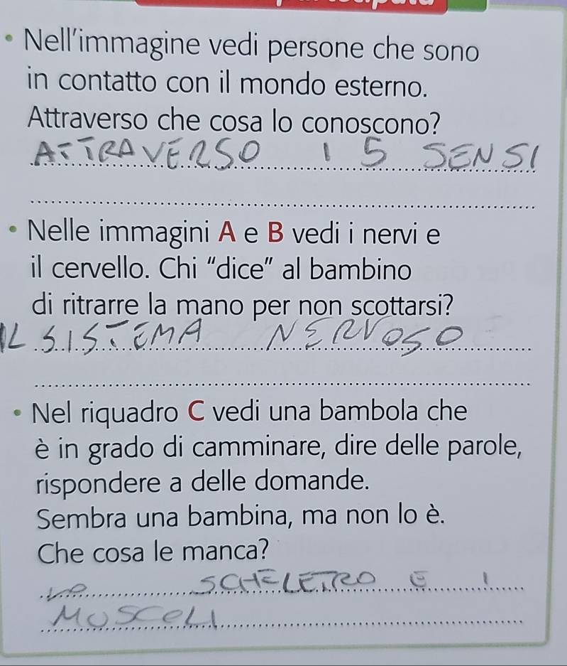 Nell'immagine vedi persone che sono 
in contatto con il mondo esterno. 
Attraverso che cosa lo conoscono? 
_ 
_ 
Nelle immagini A e B vedi i nervi e 
il cervello. Chi “dice” al bambino 
di ritrarre la mano per non scottarsi? 
_ 
_ 
Nel riquadro C vedi una bambola che 
è in grado di camminare, dire delle parole, 
rispondere a delle domande. 
Sembra una bambina, ma non lo è. 
Che cosa le manca? 
_ 
_