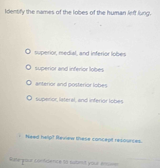 Identify the names of the lobes of the human left lung.
superior, medial, and inferior lobes
superior and inferior lobes
anterior and posterior lobes
superior, lateral, and inferior lobes
Need help? Review these concept resources.
Rate your confidence to subm,t your ensiver