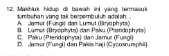 Makhluk hidup di bawah ini yang termasuk
umbuhan yang tak berpembuluh adalah...
A. Jamur (Fungi) dan Lumut (Bryophyta)
B. Lumut (Bryophyta) dan Paku (Pteridophyta)
C. Paku (Pteridophyta) dan Jamur (Fungí)
D. Jamur (Fungi) dan Pakis haji (Cycosrumphiii)