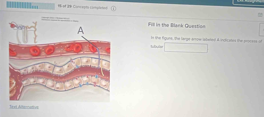 of 29 Concepts completed 

Fill in the Blank Question 
In the figure, the large arrow labeled A indicates the process of 
tubular 
Text Alternative