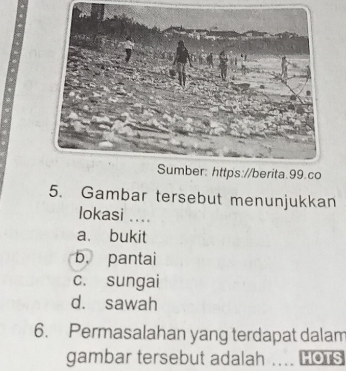 Gambar tersebut menunjukkan
lokasi ....
a. bukit
b， pantai
c. sungai
d. sawah
6. Permasalahan yang terdapat dalam
gambar tersebut adalah OTS