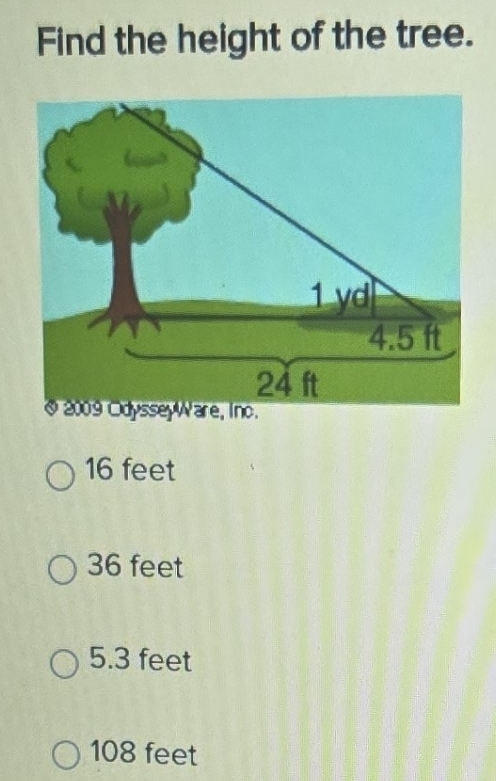 Solved: Find the height of the tree. 16 feet 36 feet 5.3 feet 108 feet ...