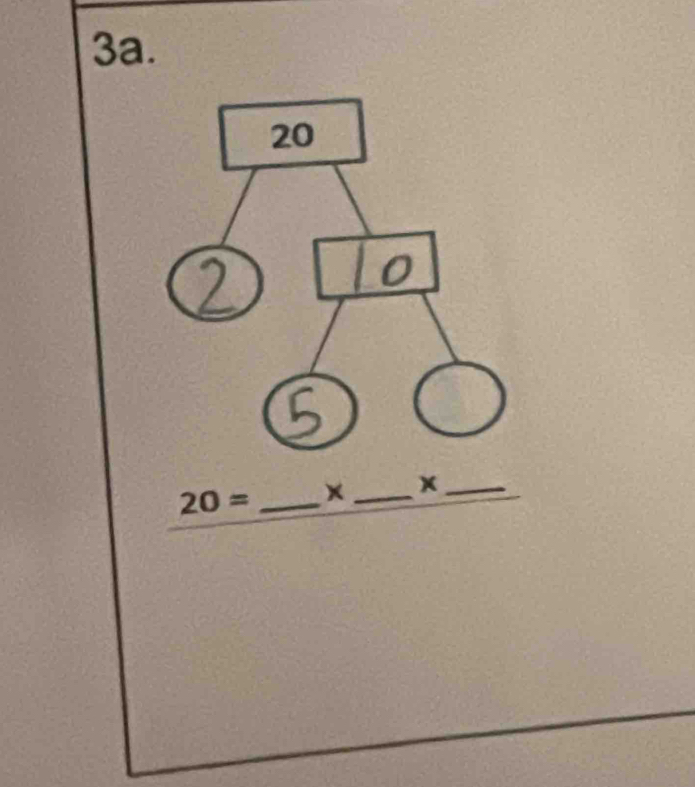 20= _ x _ x _