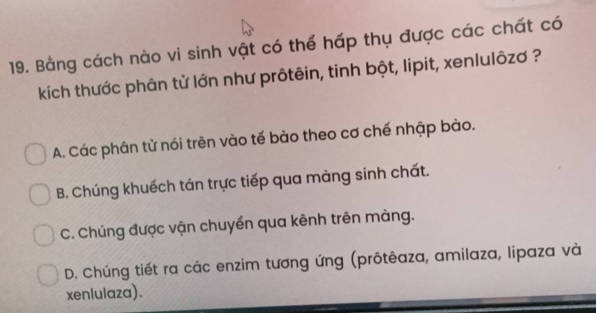 Bằng cách nào vi sinh vật có thể hấp thụ được các chất có
kích thước phân tử lớn như prôtêin, tinh bột, lipit, xenlulôzơ ?
A. Các phân tử nói trên vào tế bào theo cơ chế nhập bào.
B. Chúng khuếch tán trực tiếp qua màng sinh chất.
C. Chúng được vận chuyển qua kênh trên màng.
D. Chúng tiết ra các enzim tương ứng (prôtêaza, amilaza, lipaza và
xenlulaza).